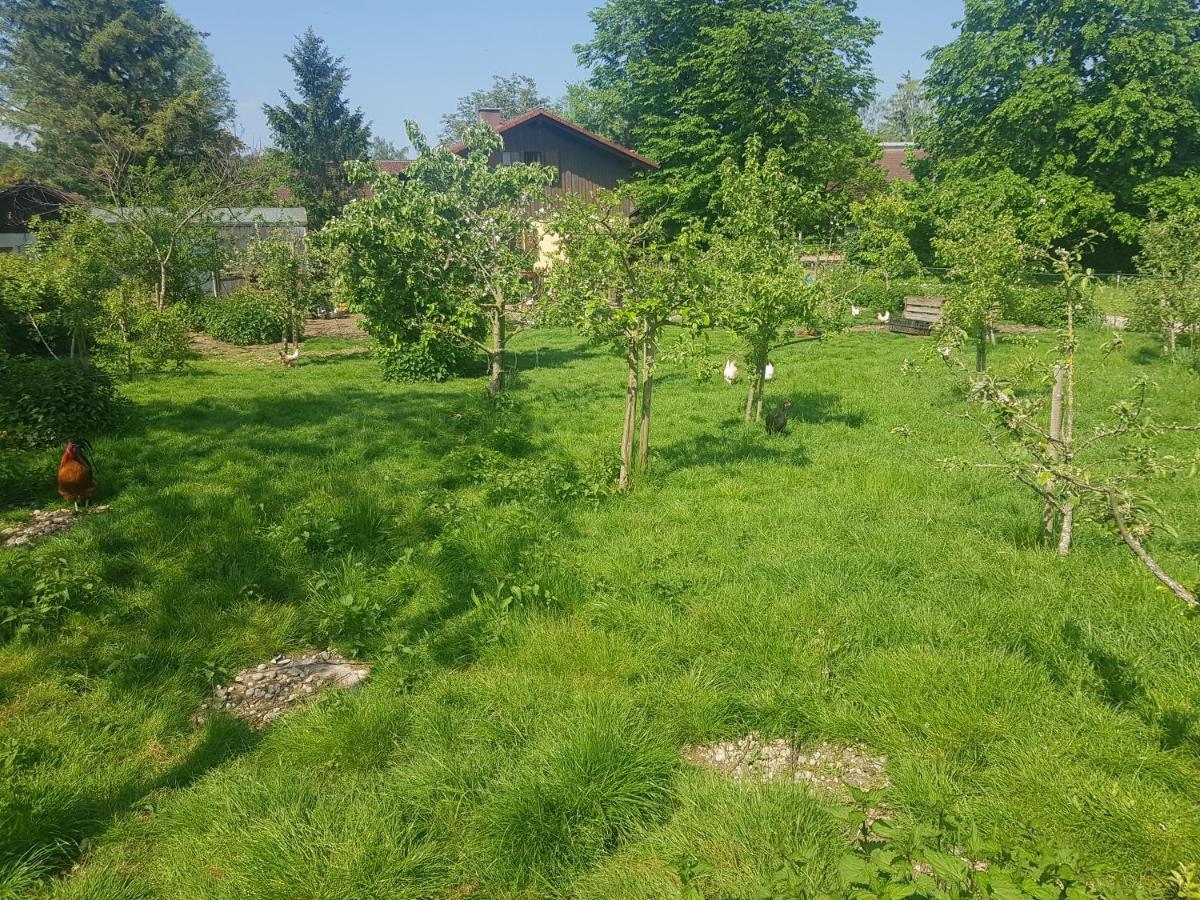Casa Piedro Apartman Starnberg Kültér fotó
